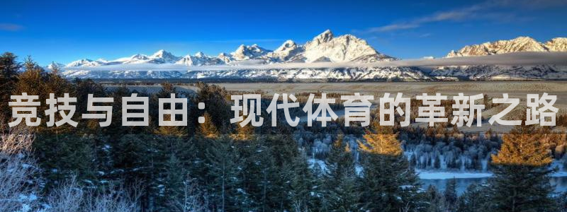vsport体育官网下载:竞技与自由:现代体育的革新之路