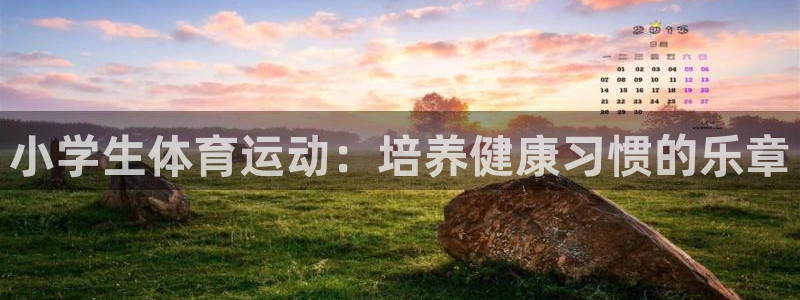 vsport体育官方正版app娱乐下载:小学生体育运动:培养