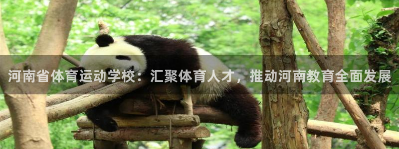 vsport体育官网下载招商电话:河南省体育运动学校:汇聚体