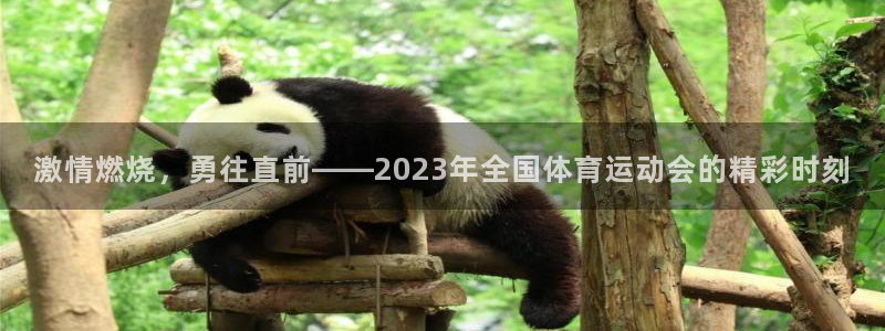 vsport体育官网下载平台假的吗是真的吗吗:激情燃烧,勇往