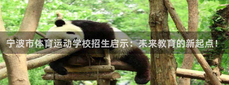 vsport体育官方正版app集团官网首页网址:宁波市体育运