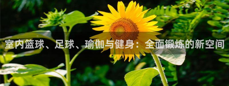 vsport体育官网下载招商电话号码是多少:室内篮球、足球、