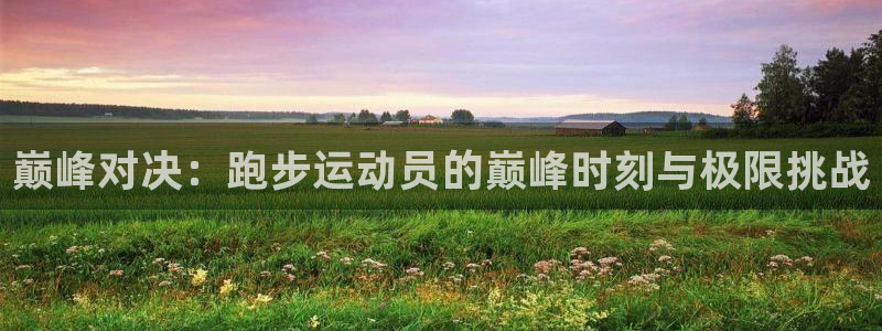 vsport体育官网下载平台是正规平台吗安全吗:巅峰对决:跑