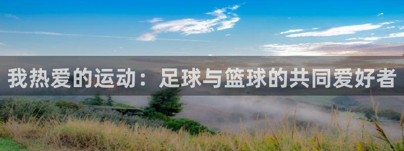 vsport体育官网下载招商电话:我热爱的运动:足球与篮球的